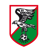 https://img.chisjoejoe.com/img/football/team/e6a8908dd206e2ea02d9803c82c60bba.png